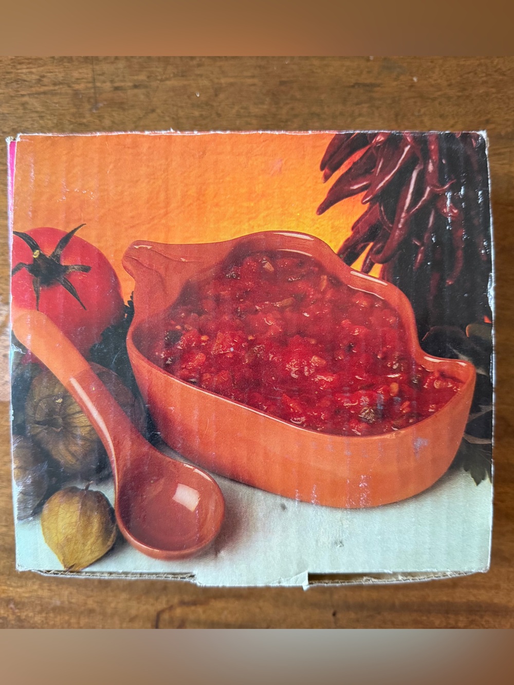 Boston Warehouse Terra Cotta Chili Pepper Salsa Server in Box